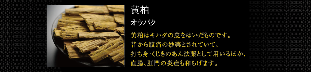 黄柏オウバク黄柏はキハダの皮をはいだものです。昔から腹痛の妙薬とされていて、打ち身・くじきのあん法薬としての効果のほか、直腸、肛門の炎症にも効きます。